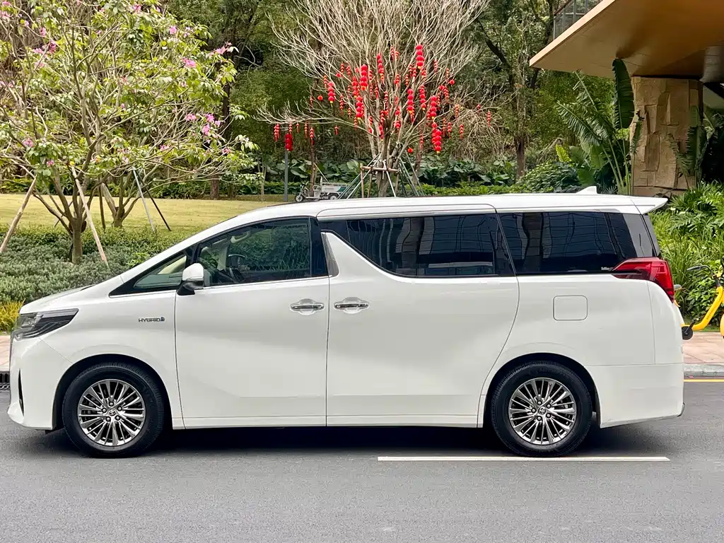 Alfa 2021 Shuangqing 2.5L Premium Edition купить на сайте DeffCars