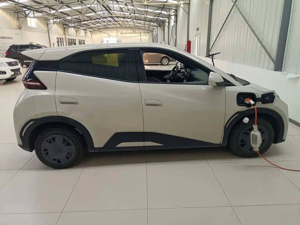 Seagull 2024 Honor Edition 305km Vitality Edition купить на сайте DeffCars