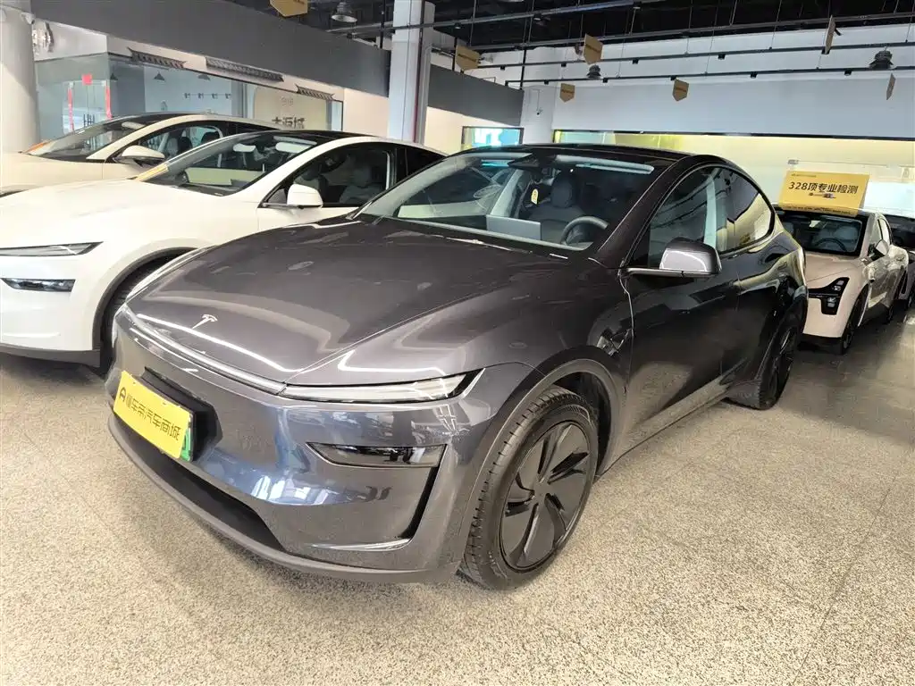 Model Y 2025 rear-wheel drive version купить на сайте DeffCars