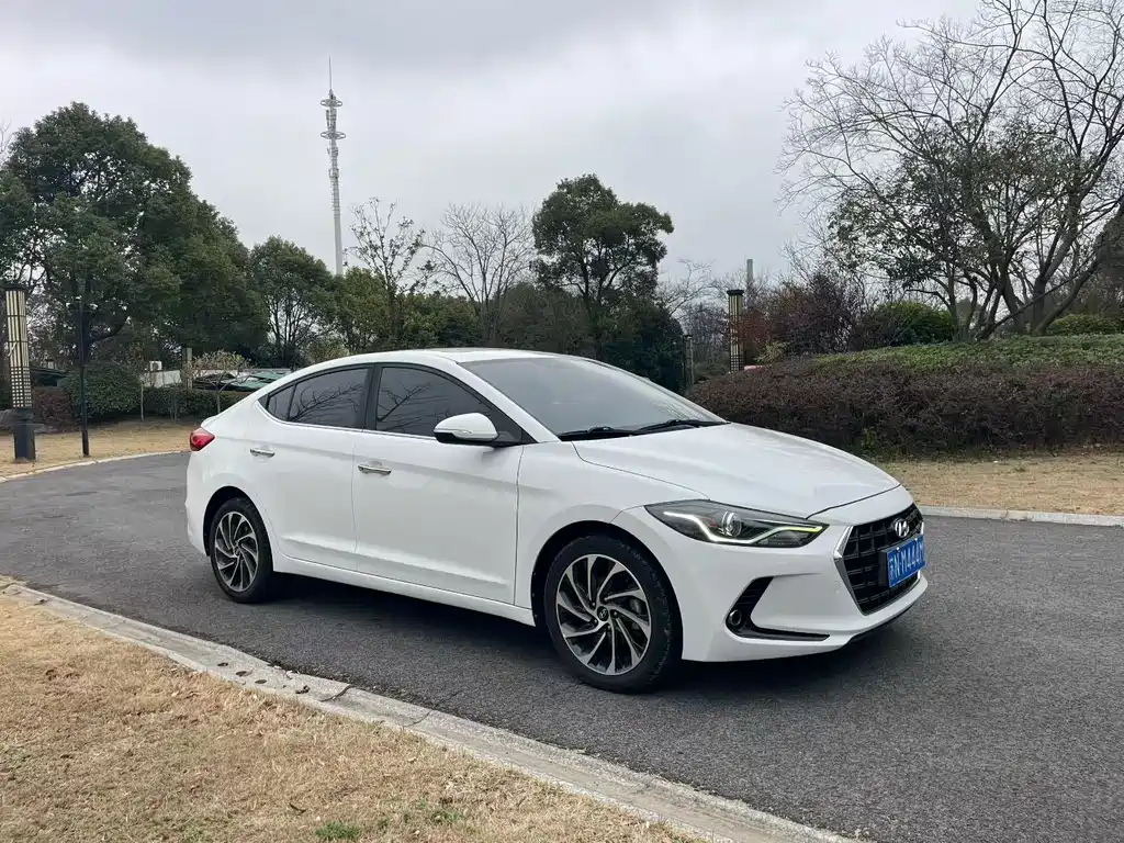 Lingdong 2019 1.5L CVT Zhixuan·Luxury model купить на сайте DeffCars