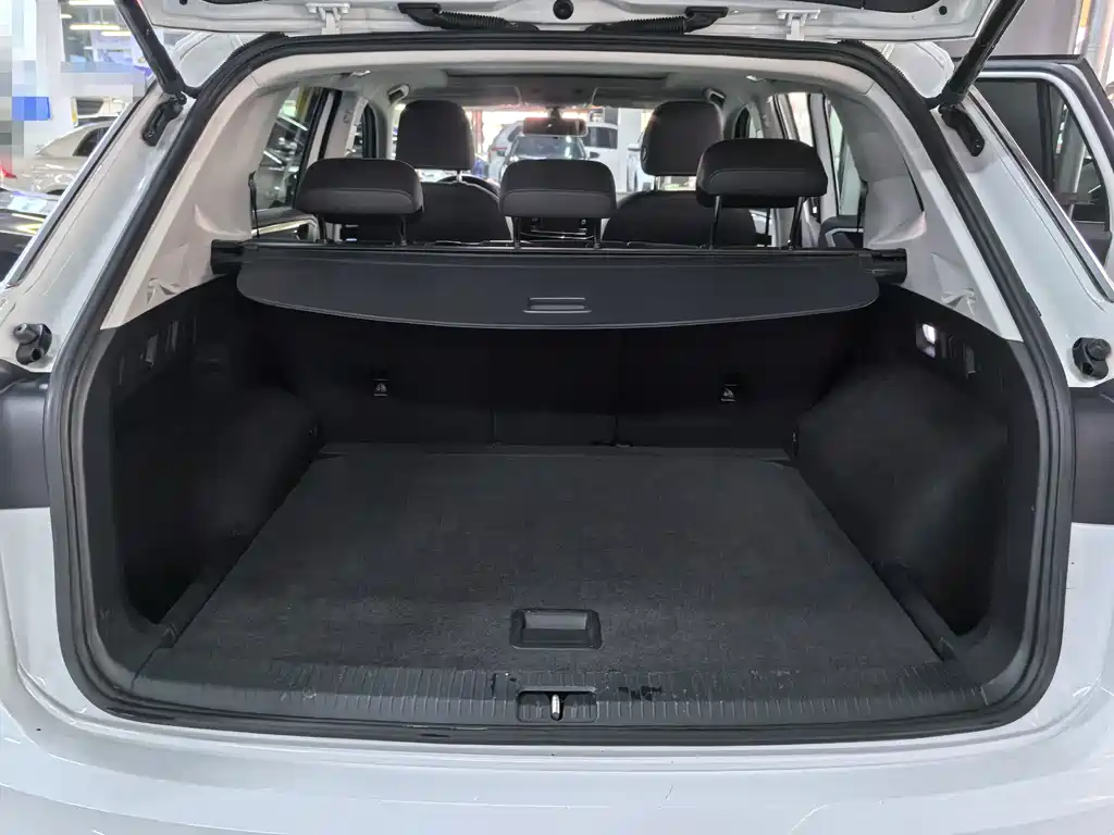 Tanyue 2019 330TSI two-wheel drive luxury model, National VI купить на сайте DeffCars