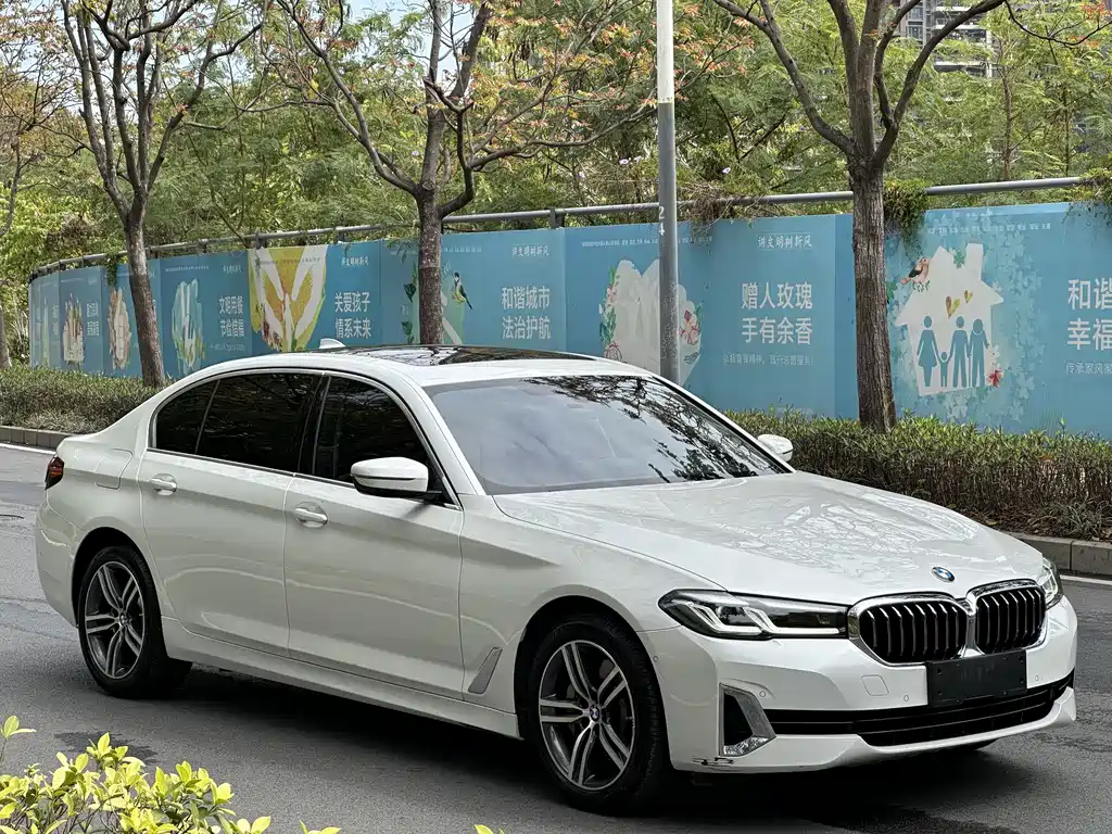 BMW 5 Series 2021 530Li Leading Luxury Package купить на сайте DeffCars