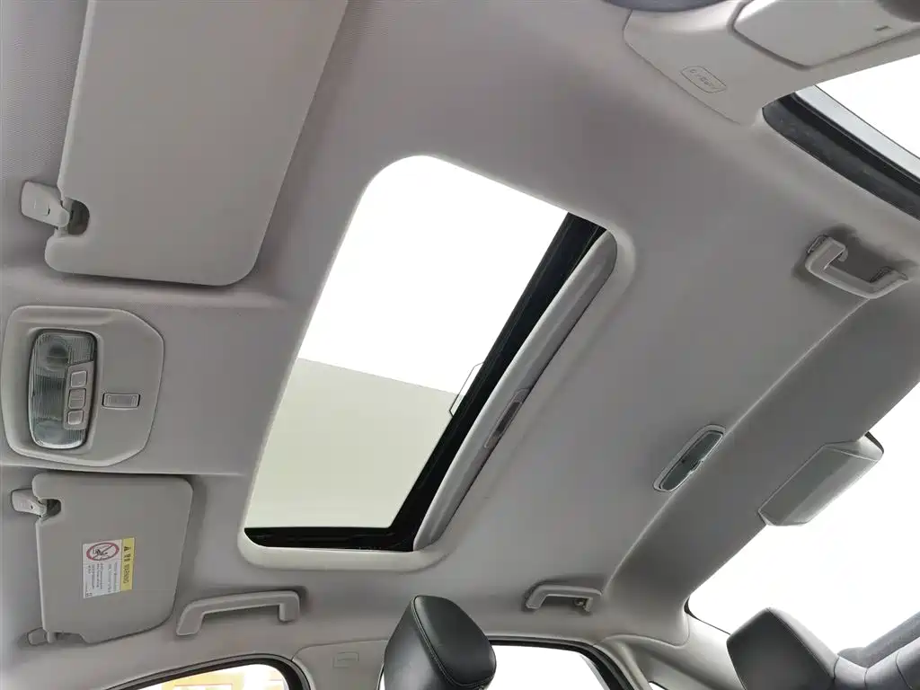 Forex 2019 1.5L automatic joy model купить на сайте DeffCars