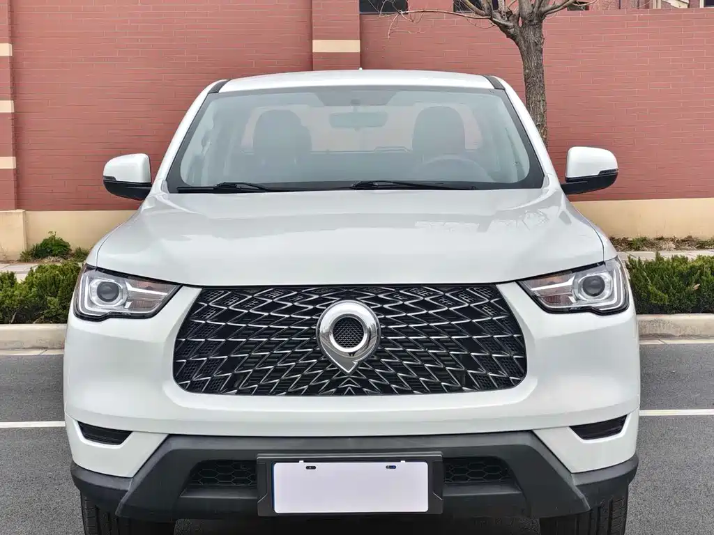 Cannon 2021 2.0T commercial version automatic gasoline two-wheel drive pilot type long box GW4C20B купить на сайте DeffCars