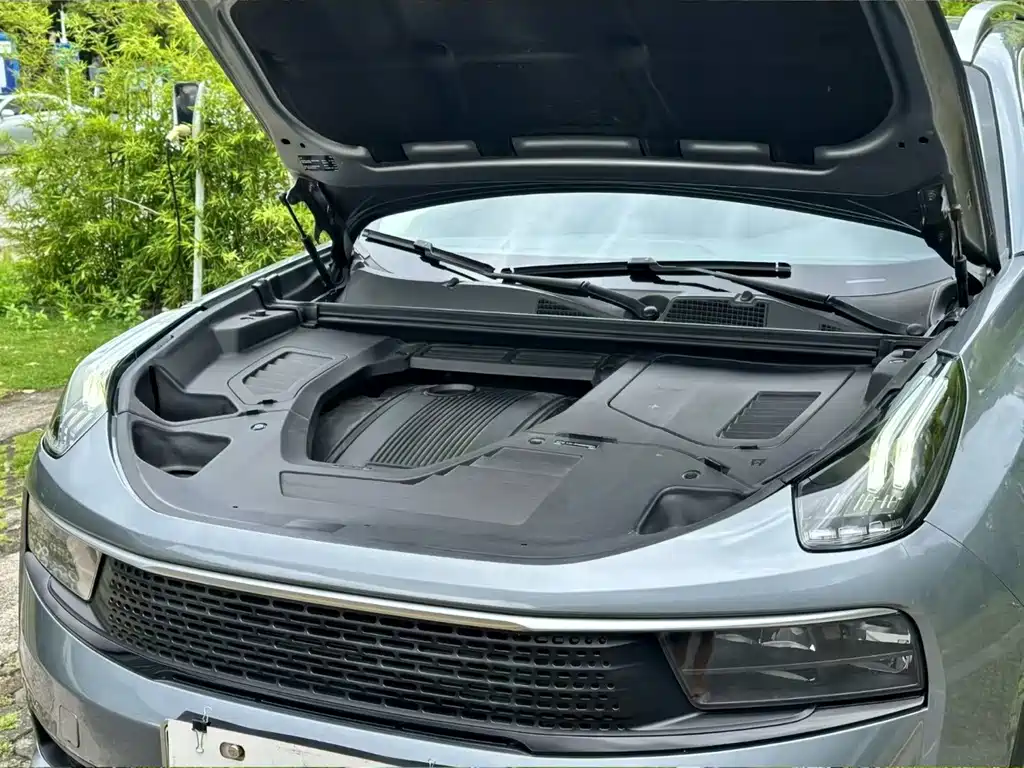 LINK CO 01 EM-P 2018 1.5T PHEV Jin National V купить на сайте DeffCars