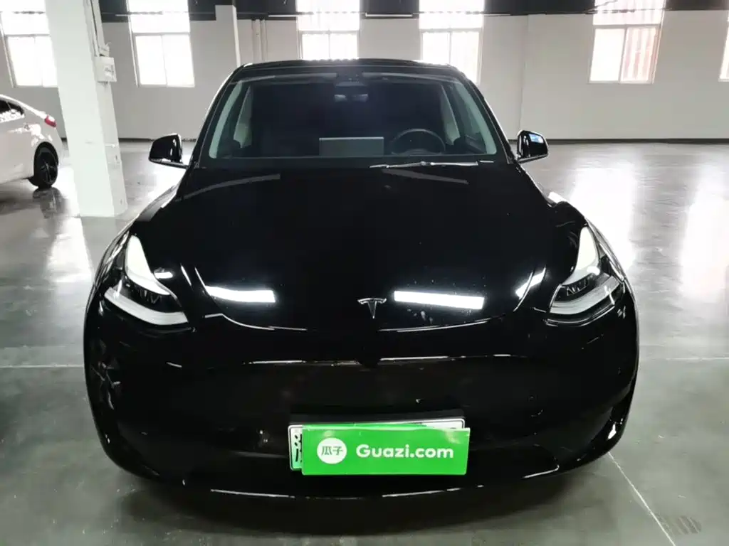 Model Y 2022 rear-wheel drive version купить на сайте DeffCars