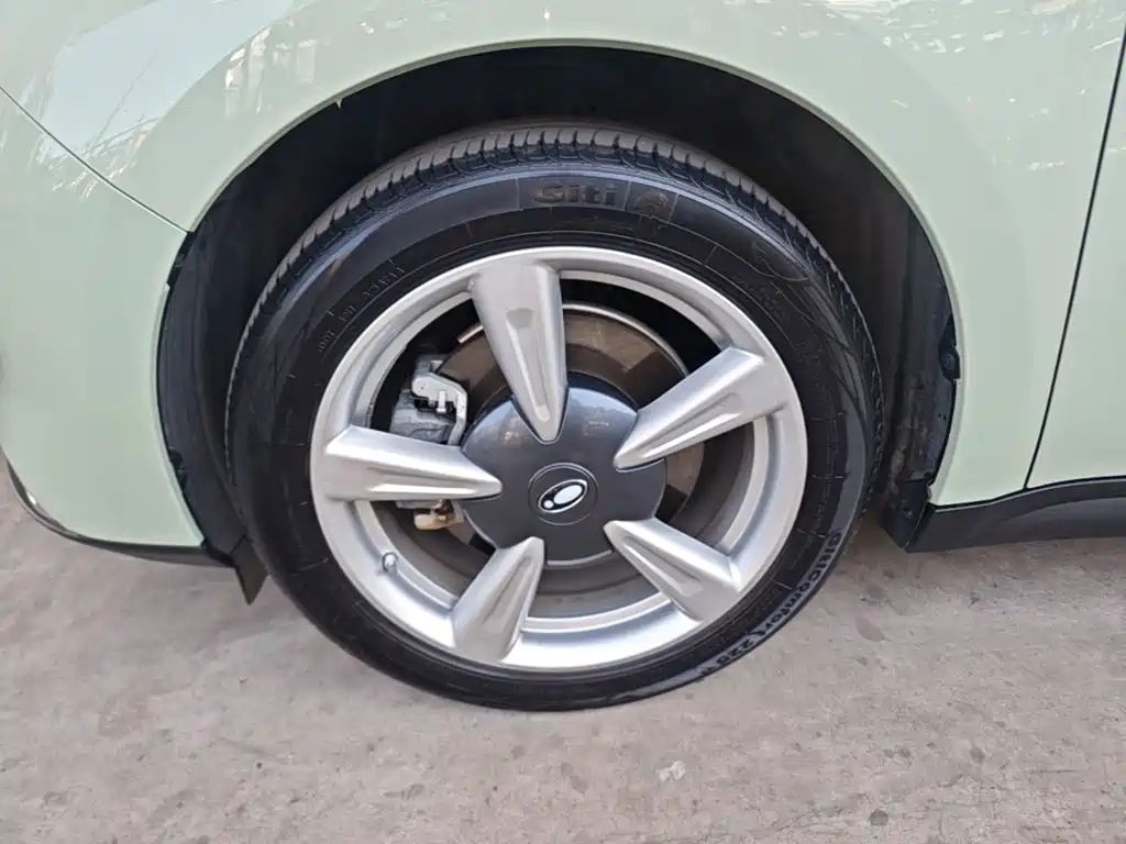 ORA Good Cat 2023 model 401km standard battery life premium type lithium iron phosphate купить на сайте DeffCars