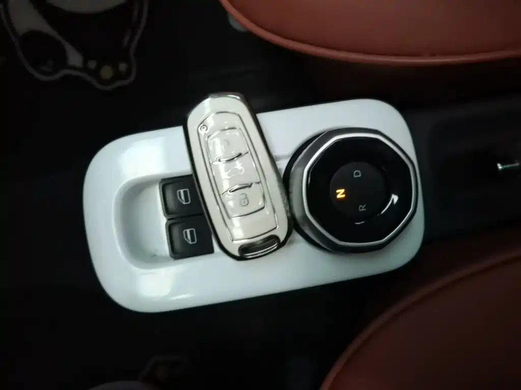 Panda 2025 Panda mini 210km Yuanqi Bear купить на сайте DeffCars