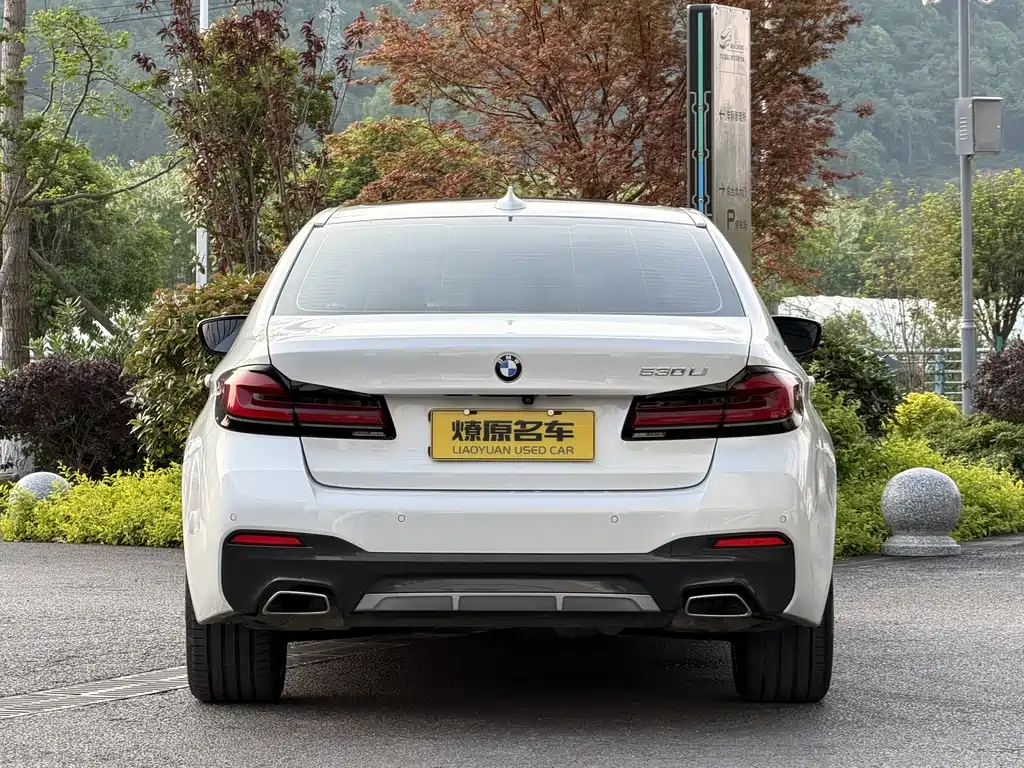 BMW 5 Series 2021 530Li Leading M Sports Package купить на сайте DeffCars