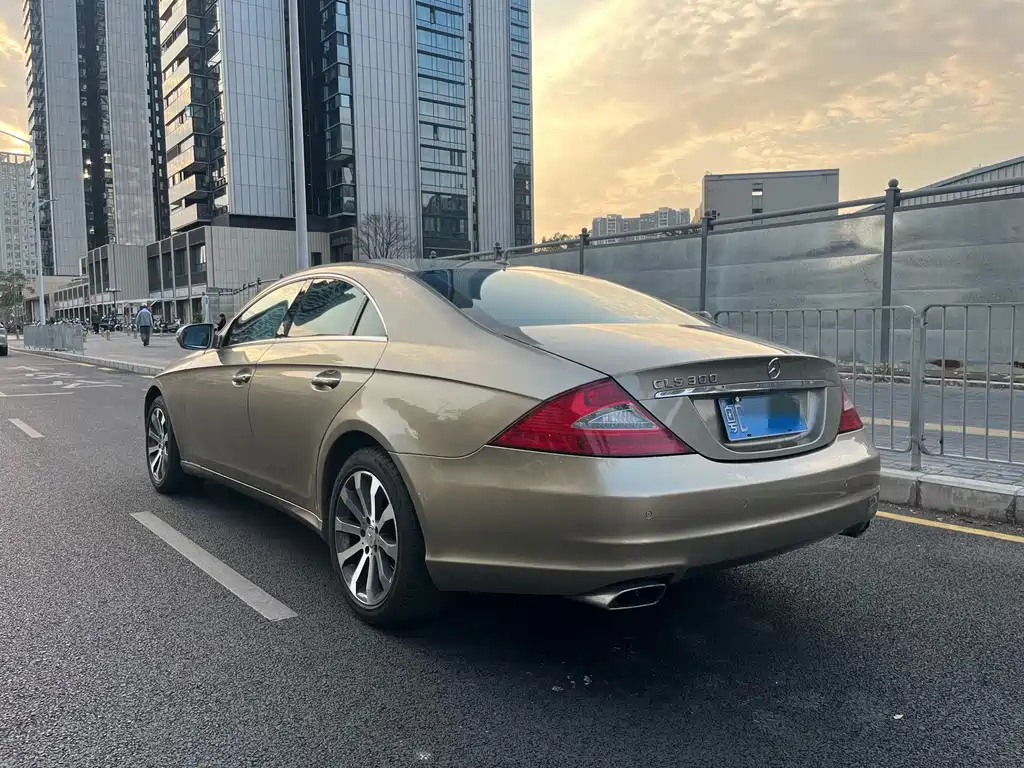 Mercedes-Benz CLS 2009 CLS 300 купить на сайте DeffCars