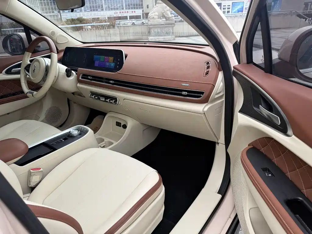 Euler Good Cat 2021 Model 400km Standard Range Venus Edition Lithium Iron Phosphate купить на сайте DeffCars