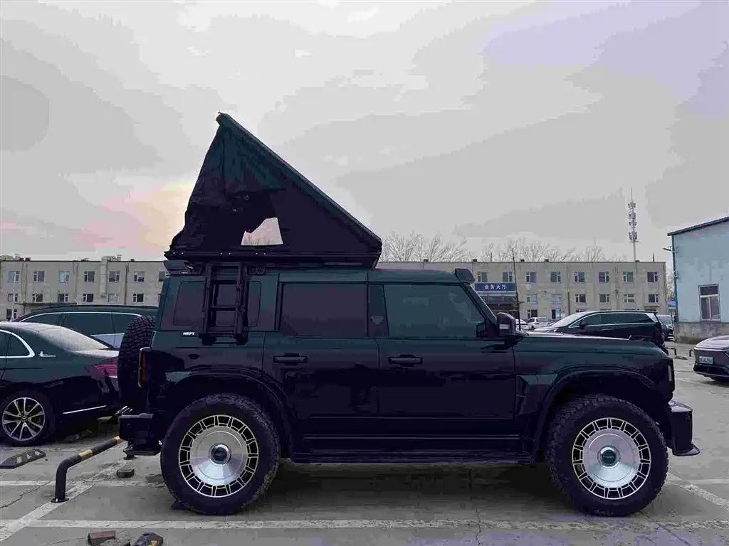 Maisa Ruima 2024 P520 купить на сайте DeffCars