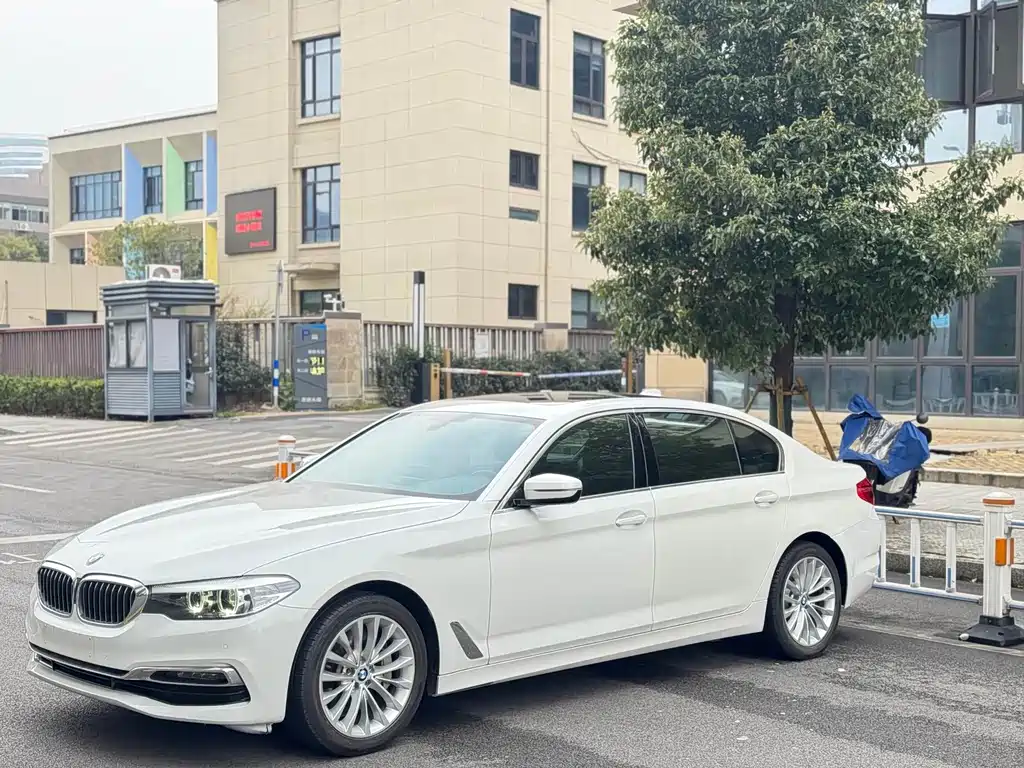 BMW 5 Series 2019 530Li Leading Luxury Package купить на сайте DeffCars