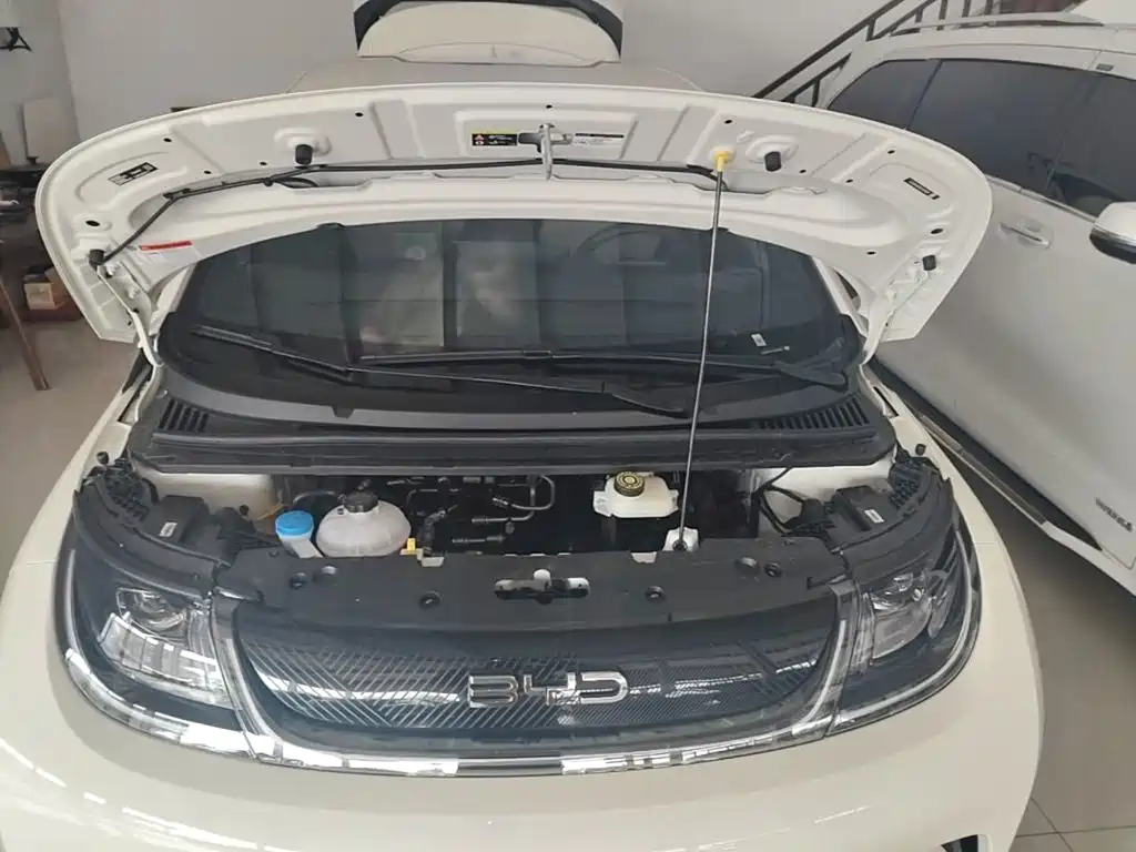 Dolphin 2025 420km free version купить на сайте DeffCars