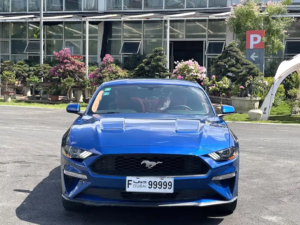 Mustang 2018 2.3L EcoBoost купить на сайте DeffCars