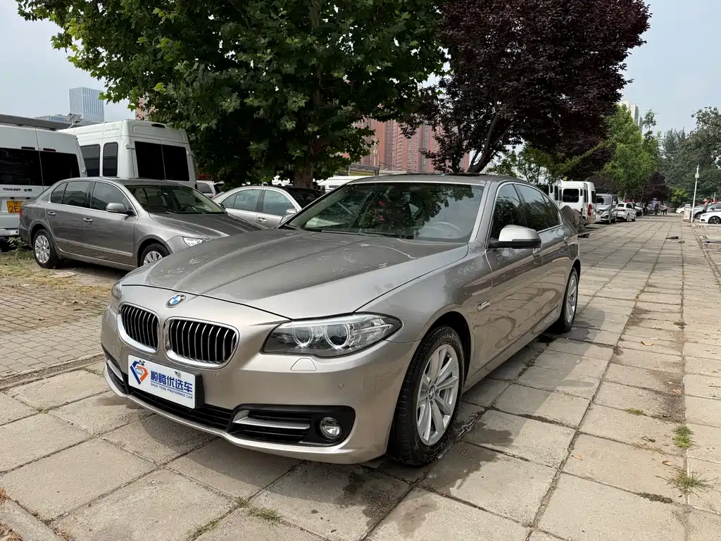 BMW 5 Series 2014 520Li Elegant купить на сайте DeffCars