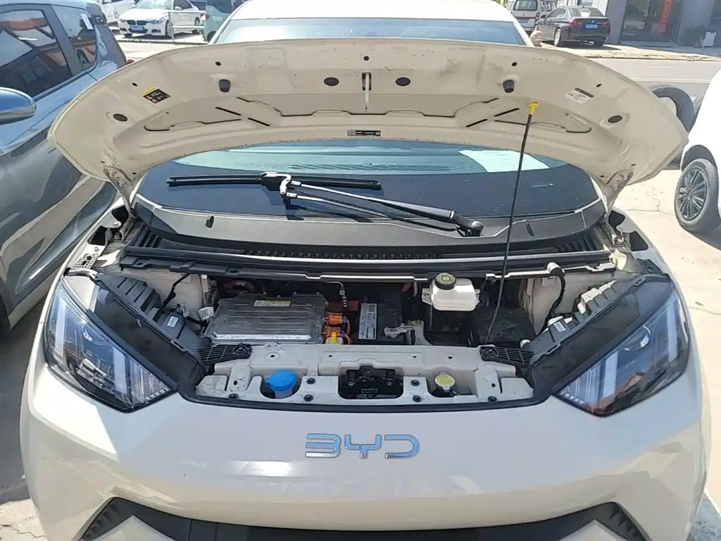 Seagull 2025 305km active version купить на сайте DeffCars