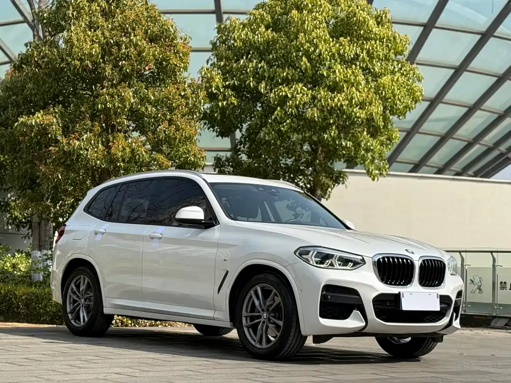 BMW X3 2019 xDrive25i M Sports Package купить на сайте DeffCars