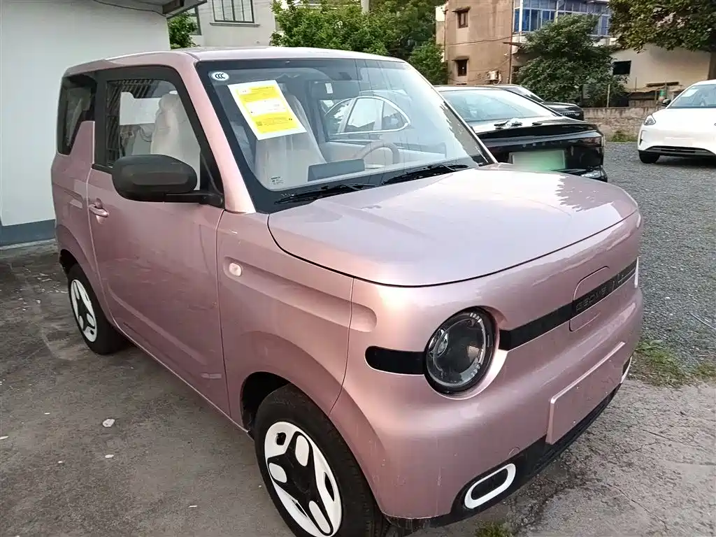 Panda 2025 Panda mini 210km Yuanqi Bear купить на сайте DeffCars