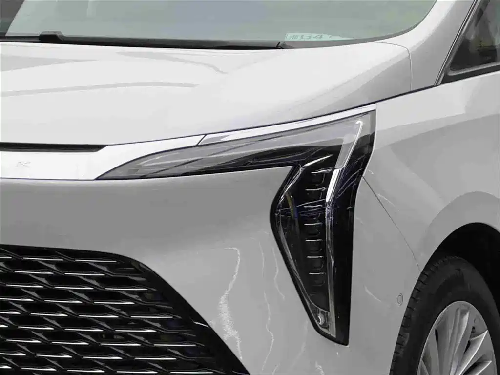 Century 2025 2.0T seven-seat Yuanshi Edition купить на сайте DeffCars