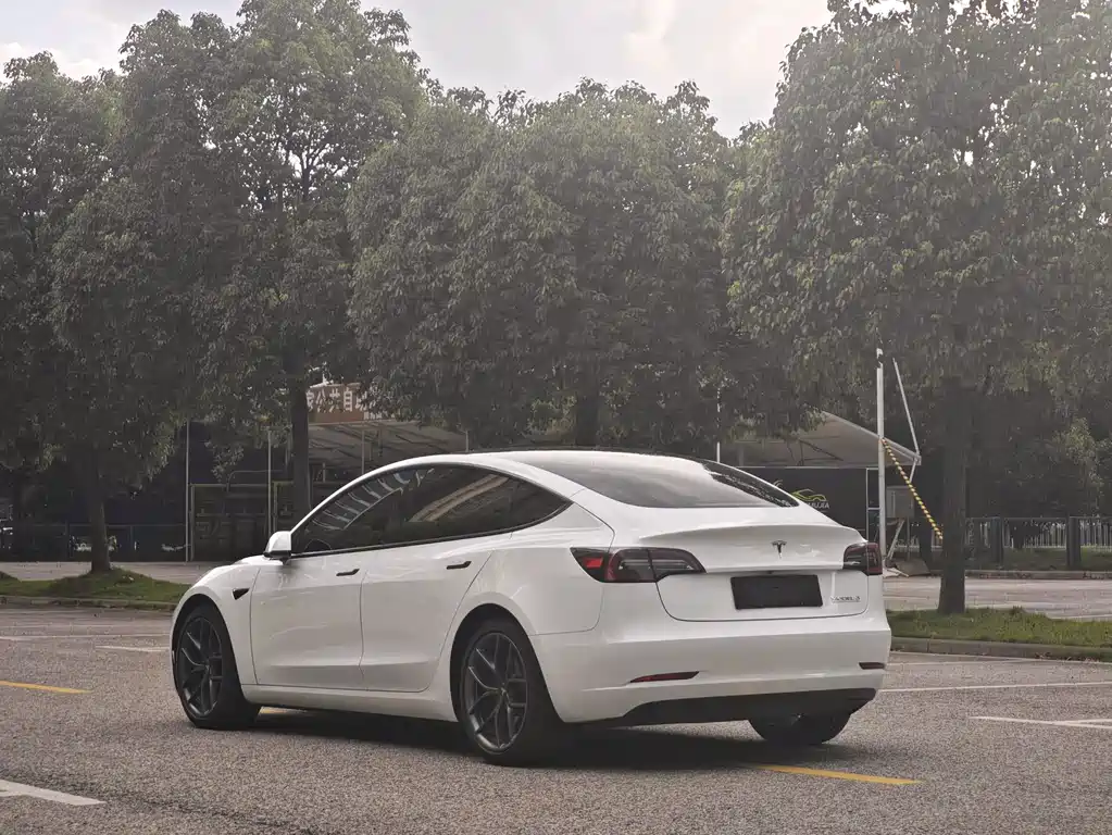 Model 3 2022 rear-wheel drive version купить на сайте DeffCars