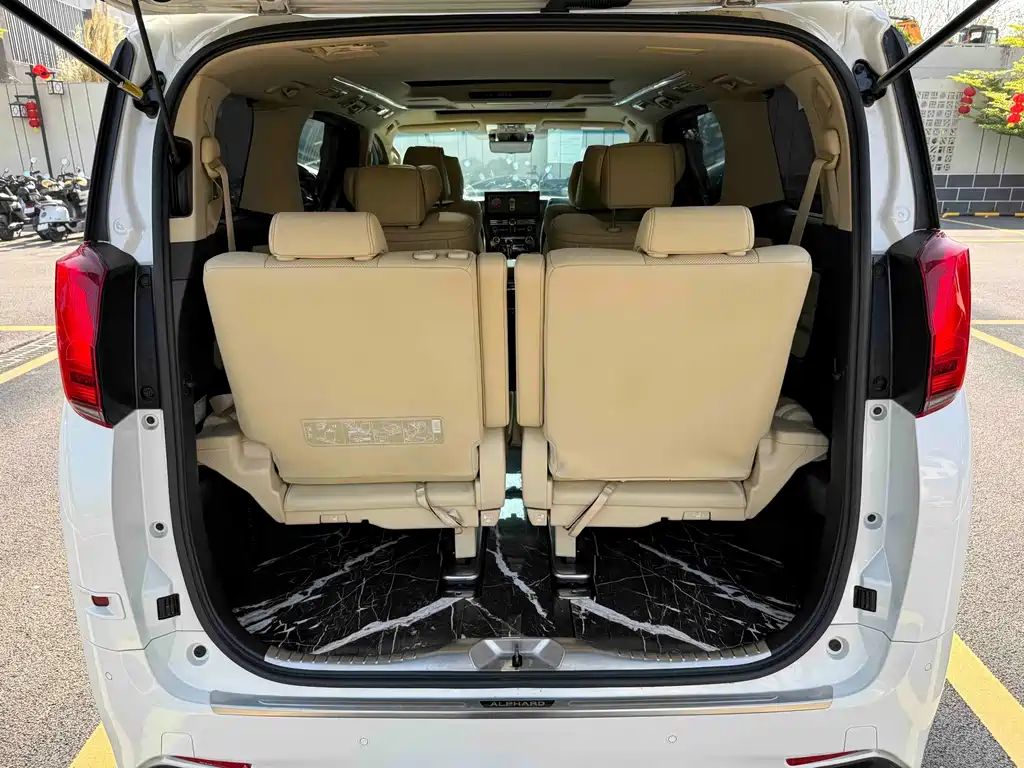 Alfa 2021 Dual Engine 2.5L Deluxe Edition купить на сайте DeffCars