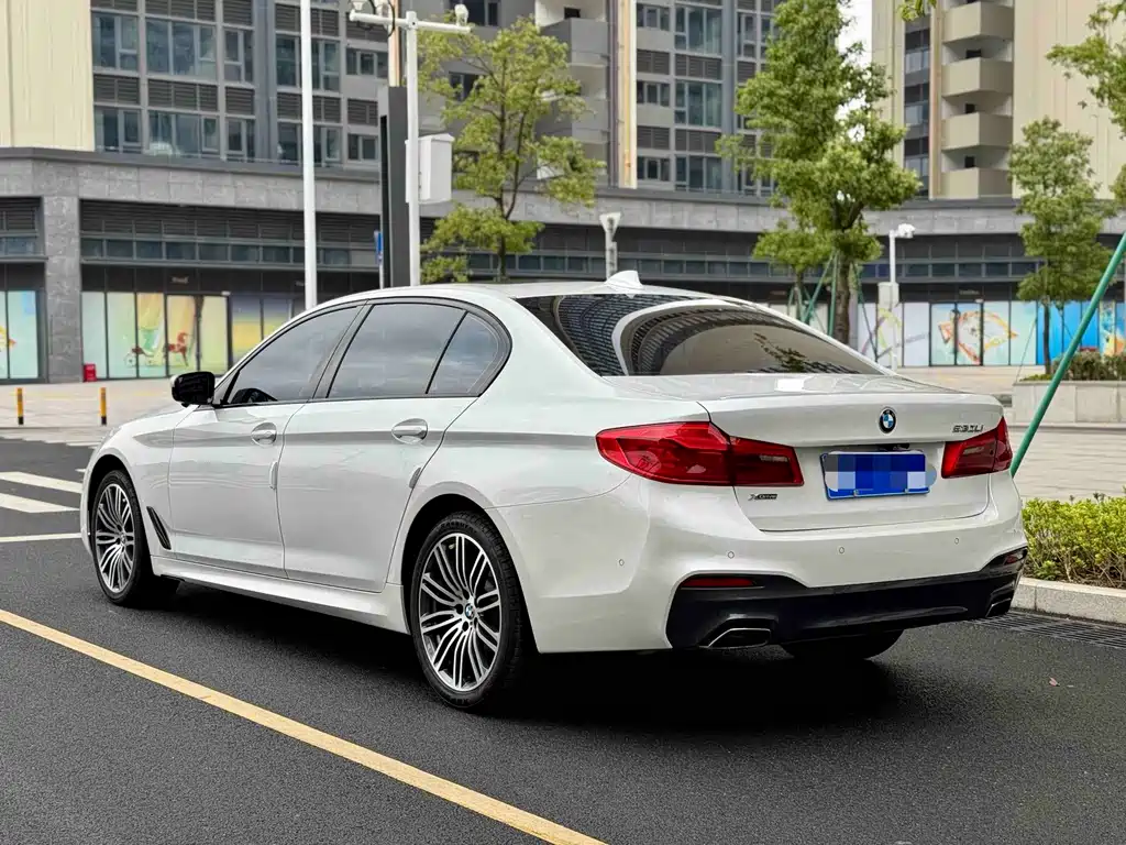 BMW 5 Series 2019 530Li xDrive M Sports Package купить на сайте DeffCars