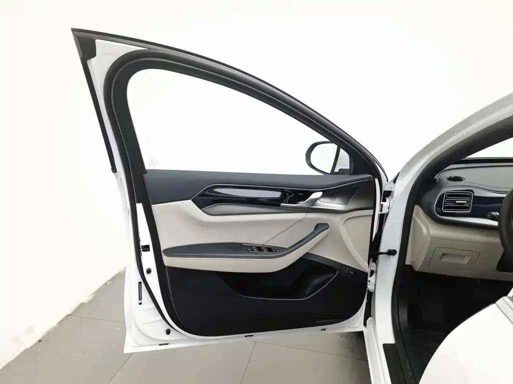 Qin PLUS 2021 EV 500KM luxury model купить на сайте DeffCars