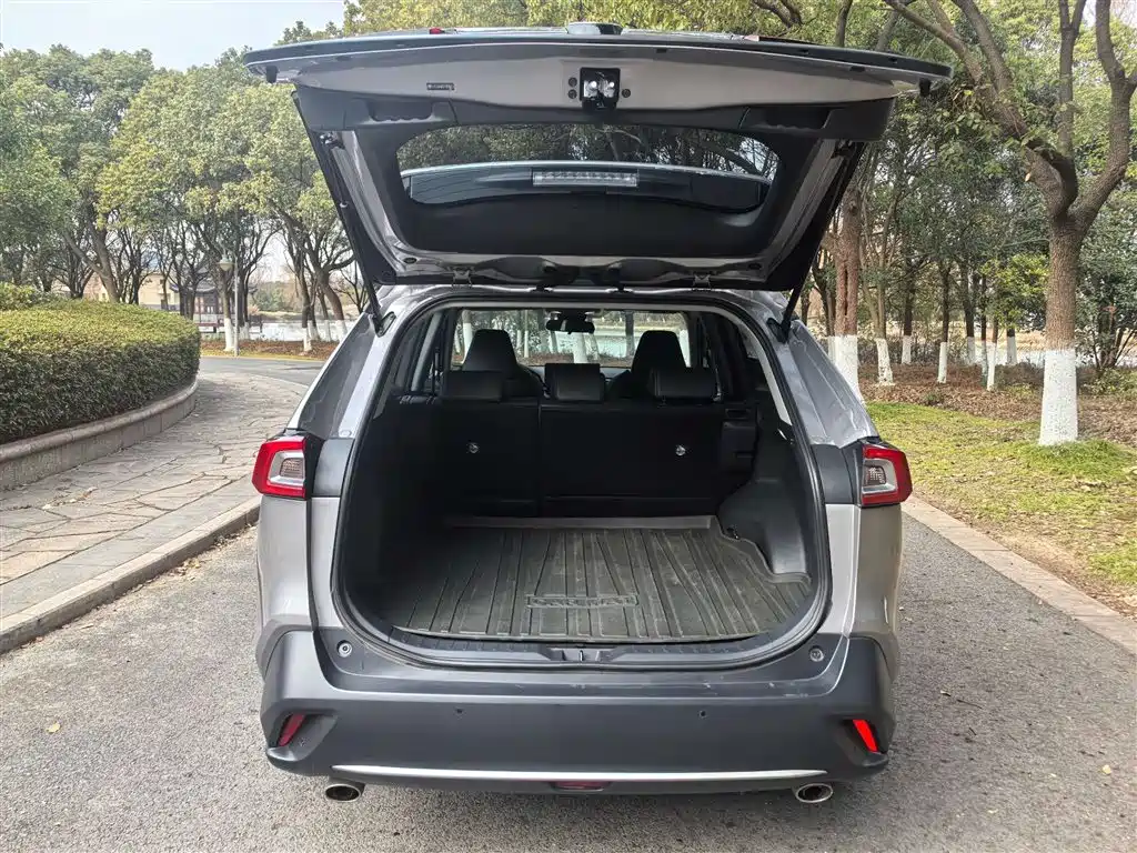 Wilanda 2023 2.0L CVT two-wheel drive luxury PLUS version купить на сайте DeffCars