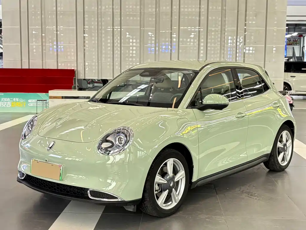 Euler Good Cat 2023 model 401km standard battery life luxury model lithium iron phosphate купить на сайте DeffCars