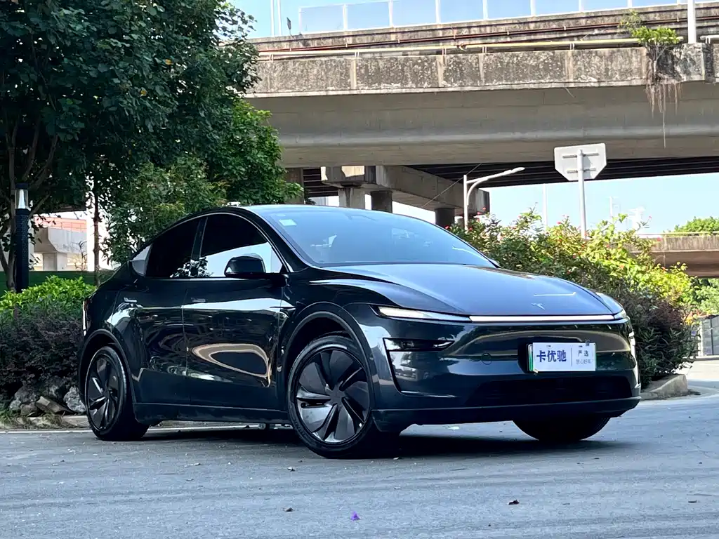 Model Y 2025 rear-wheel drive version купить на сайте DeffCars