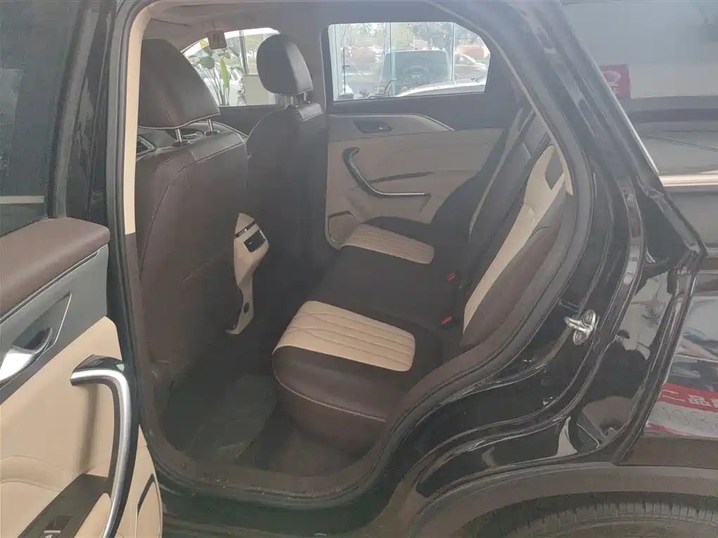 Pentium T77 2023 1.5T automatic luxury model купить на сайте DeffCars