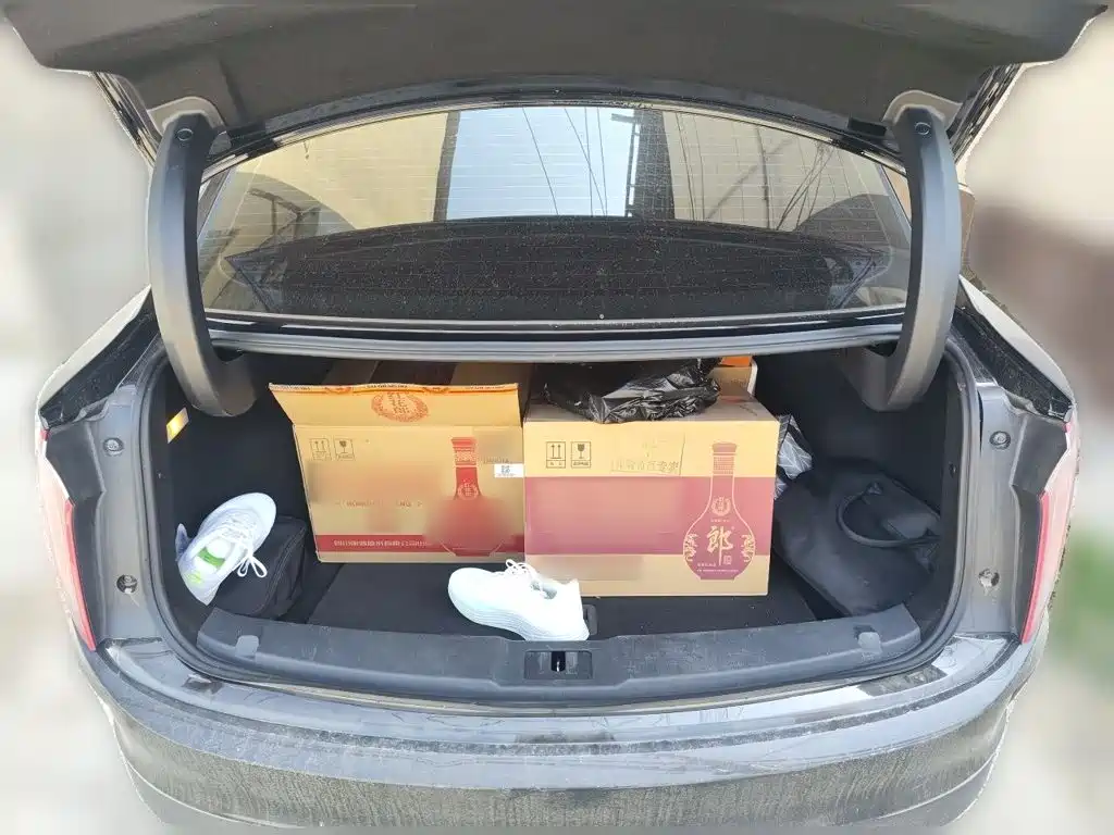 Hongqi E-QM5 2023 model 620km PLUS купить на сайте DeffCars