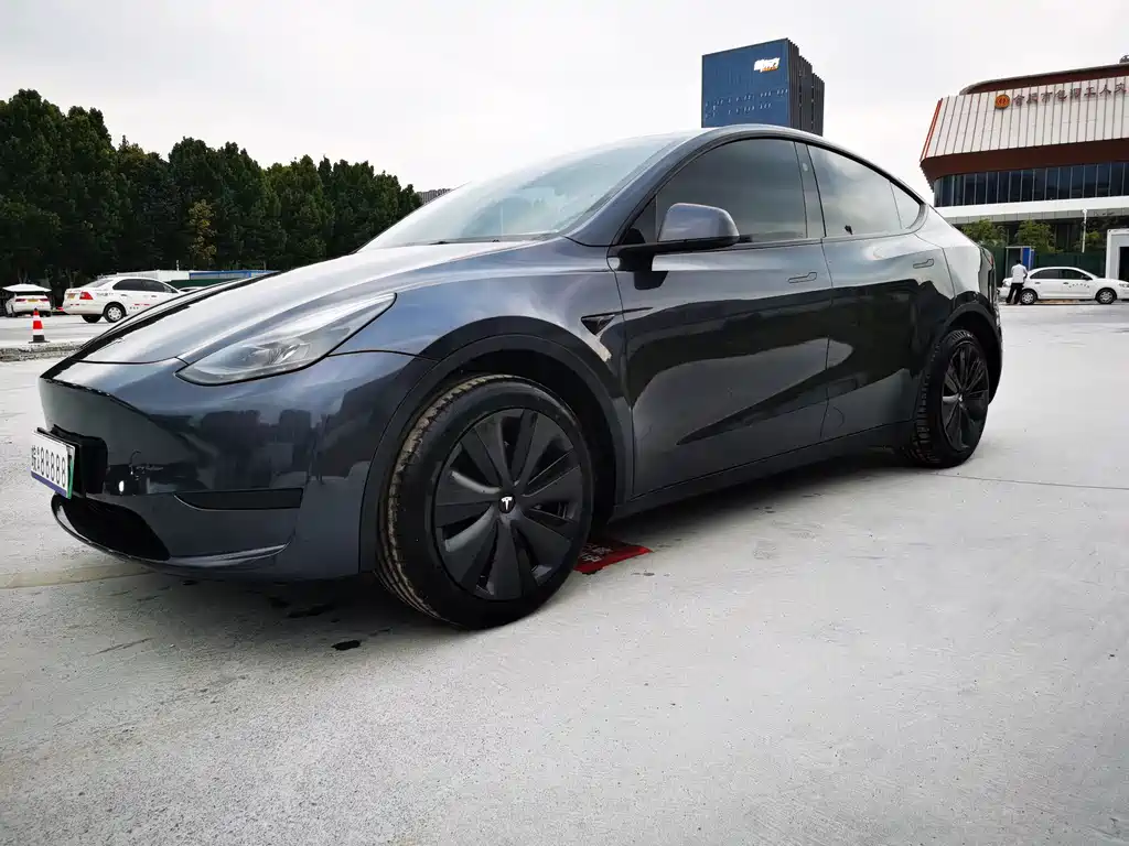 Model Y 2024 rear-wheel drive version купить на сайте DeffCars