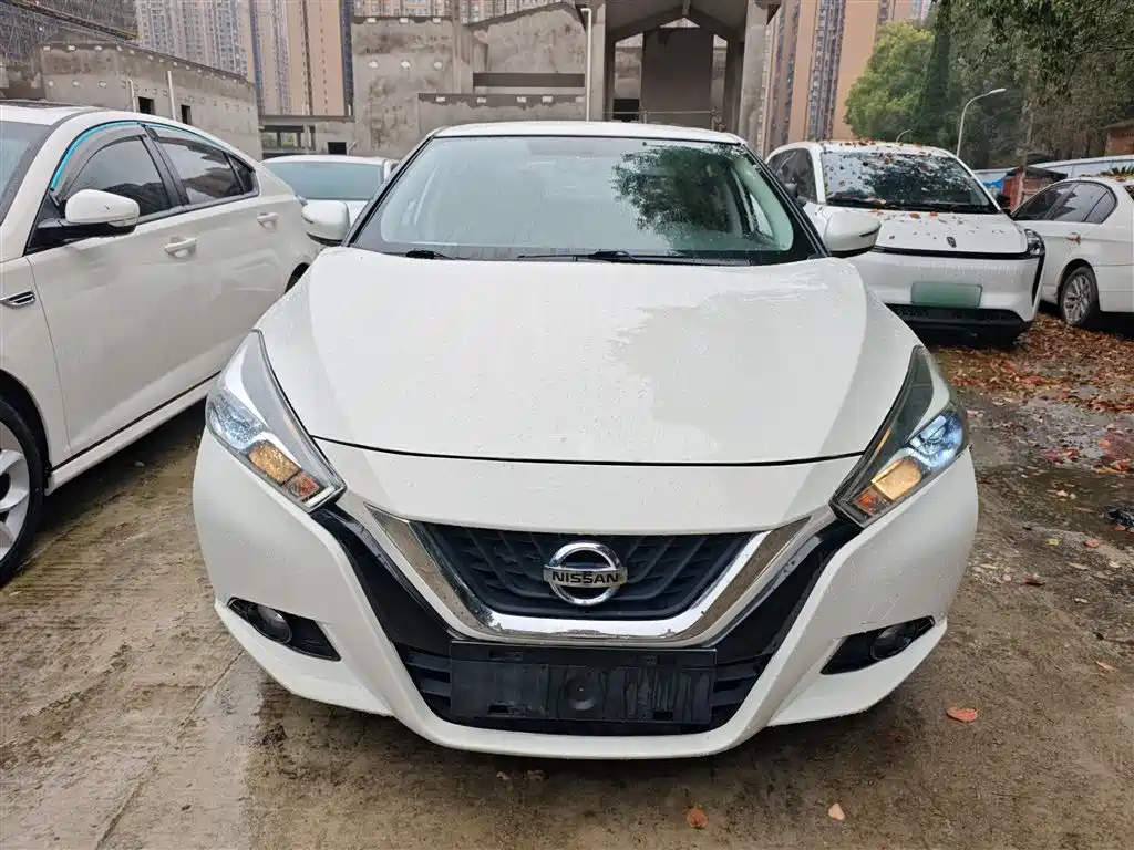 Bluebird 2019 1.6L manual cool version National VI купить на сайте DeffCars