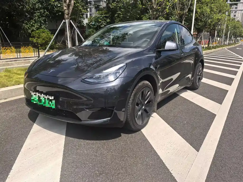 Model Y 2024 rear-wheel drive version купить на сайте DeffCars