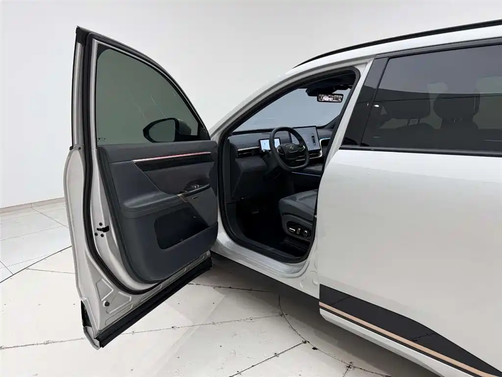 eπ008 2024 model 210Max extended range version 6 seats купить на сайте DeffCars