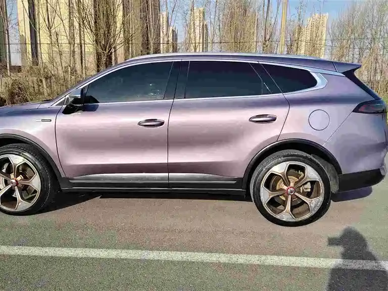 Denza X 2020 PHEV flagship version купить на сайте DeffCars