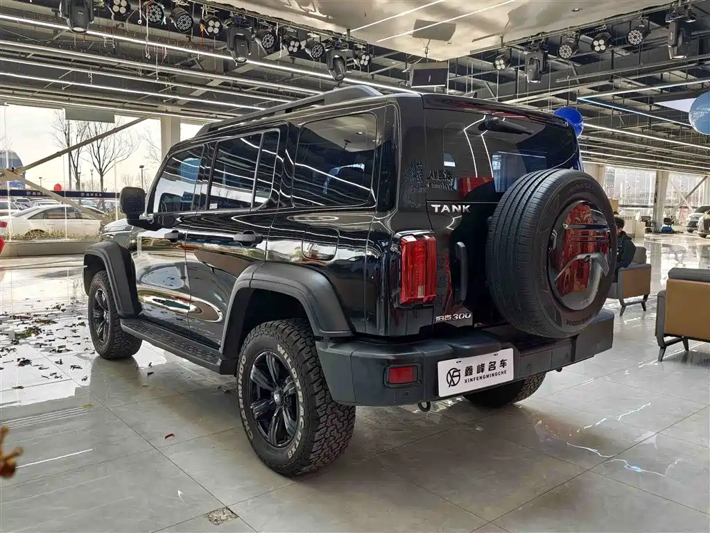 Tank 300 2024 2.0T Conqueror купить на сайте DeffCars