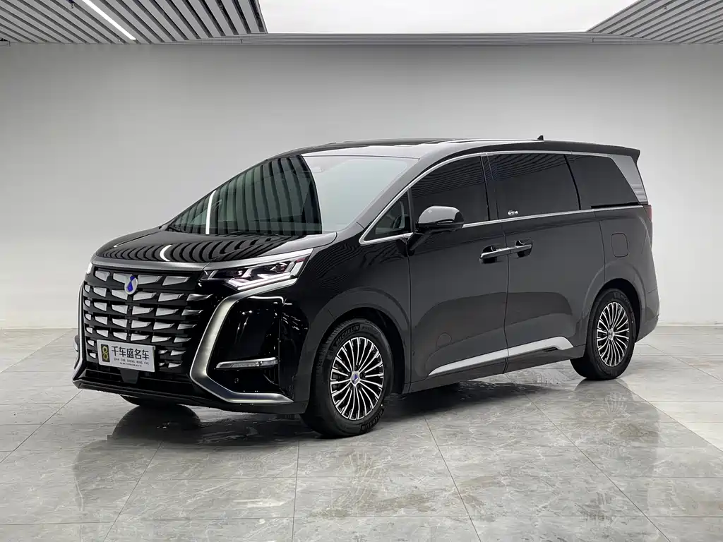Denza D9 2024 DM-i 980 four-wheel drive premium model купить на сайте DeffCars