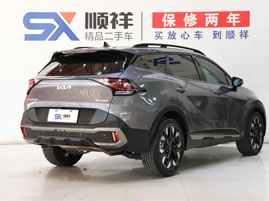 Lion Platinum Extension 2023 2.0T two-wheel drive premium version купить на сайте DeffCars