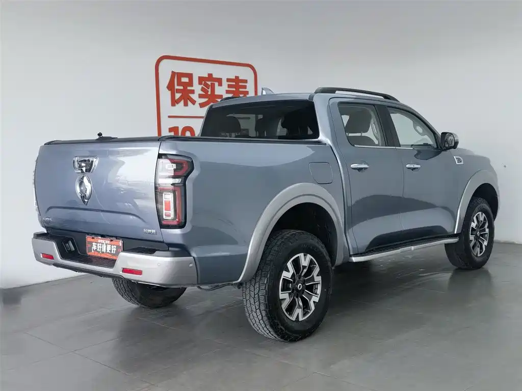 Cannon 2021 2.0T passenger global version automatic gasoline four-wheel drive exclusive standard box GW4C20B купить на сайте DeffCars