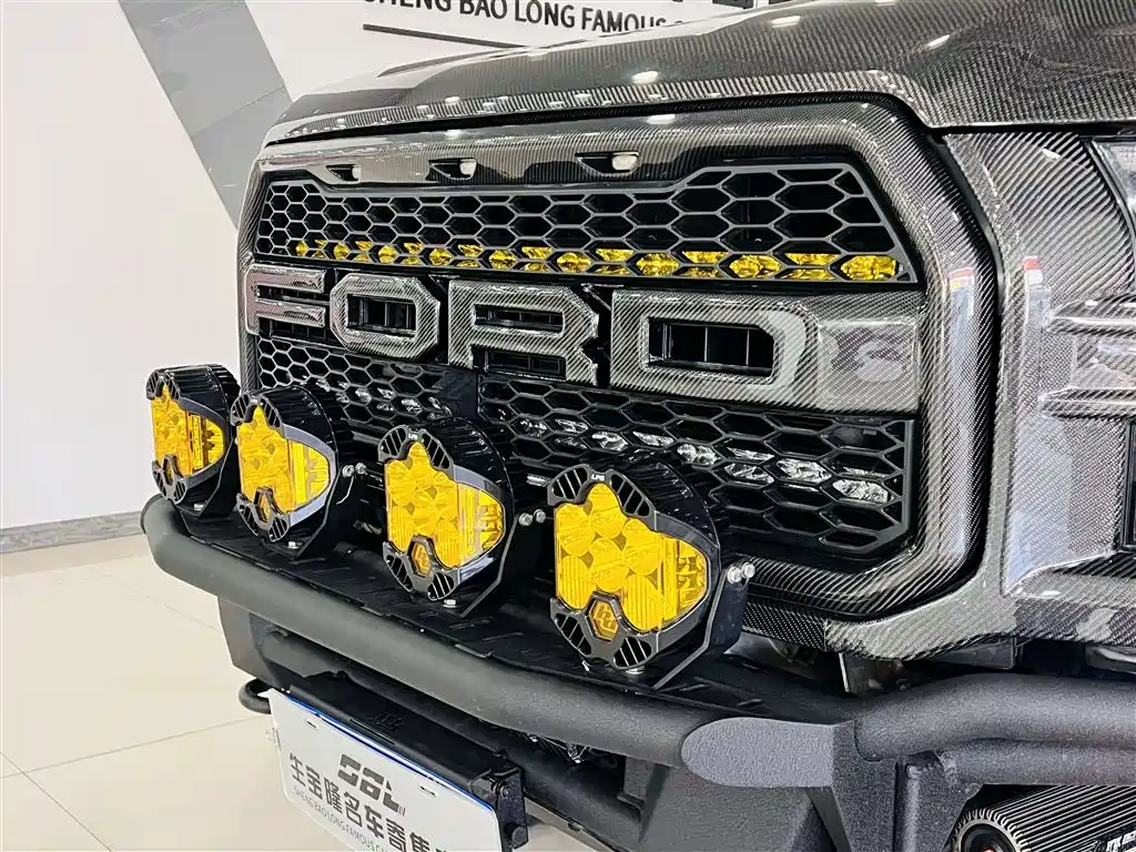Ford F-150 Raptor 2018 3.5T Raptor Performance Enhanced Edition купить на сайте DeffCars