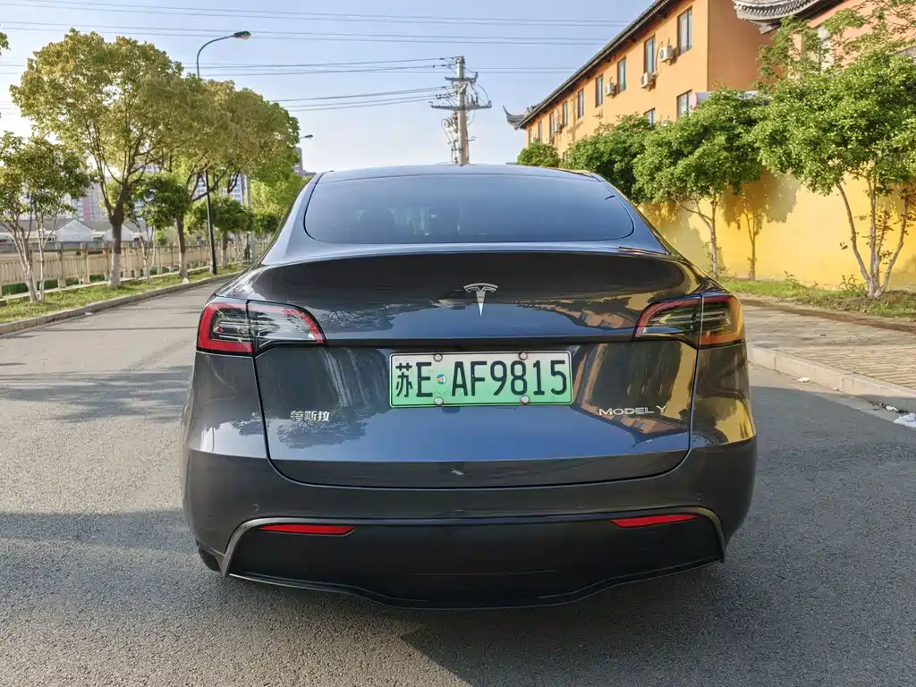 Model Y 2022 rear-wheel drive version купить на сайте DeffCars