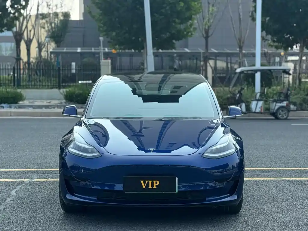Model 3 2020 Standard Range Rear Drive Upgraded Version купить на сайте DeffCars