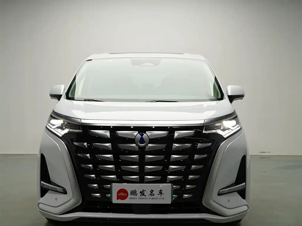 Denza D9 2022 DM-i 1040 Premium Type купить на сайте DeffCars