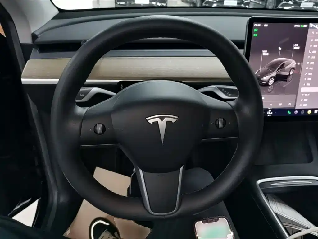 Model Y 2022 rear-wheel drive version купить на сайте DeffCars