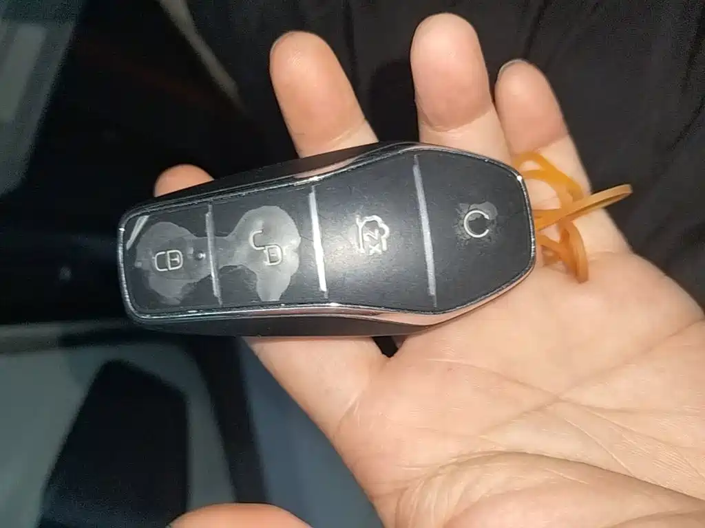 Song Plus New Energy 2024 Honor Edition DM-i 110km Flagship купить на сайте DeffCars