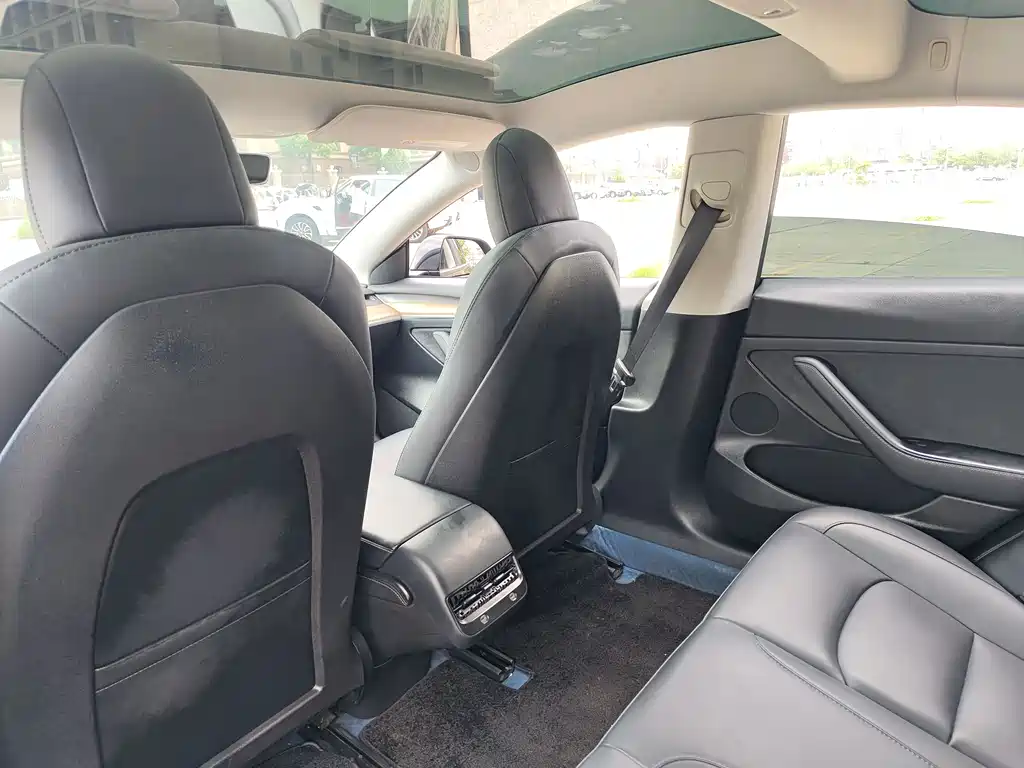 Model 3 2022 rear-wheel drive version купить на сайте DeffCars