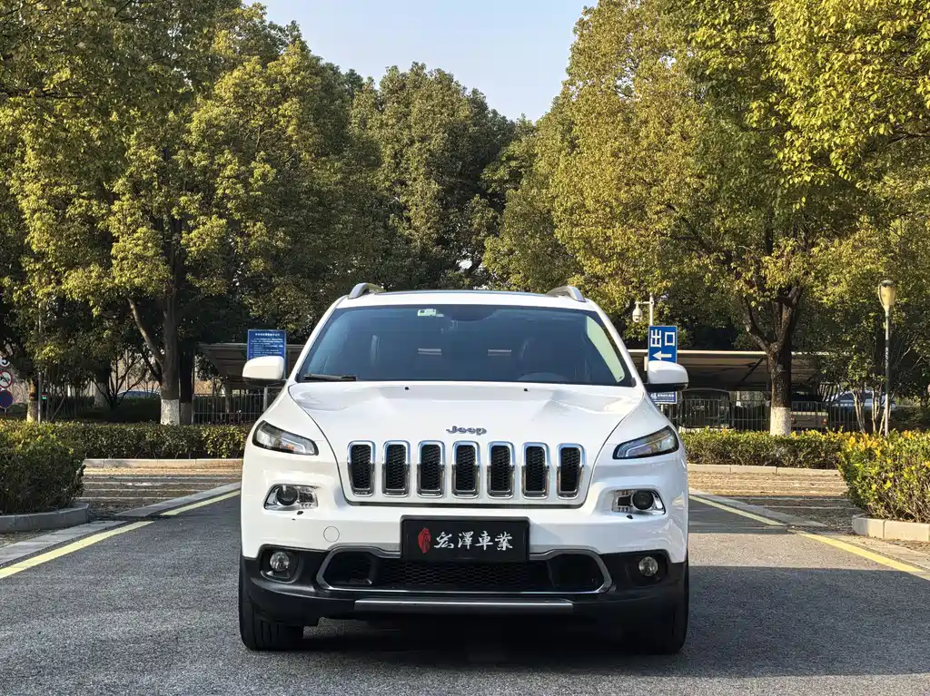 Liberty Light 2020 2.0L two-wheel drive classic sports version купить на сайте DeffCars